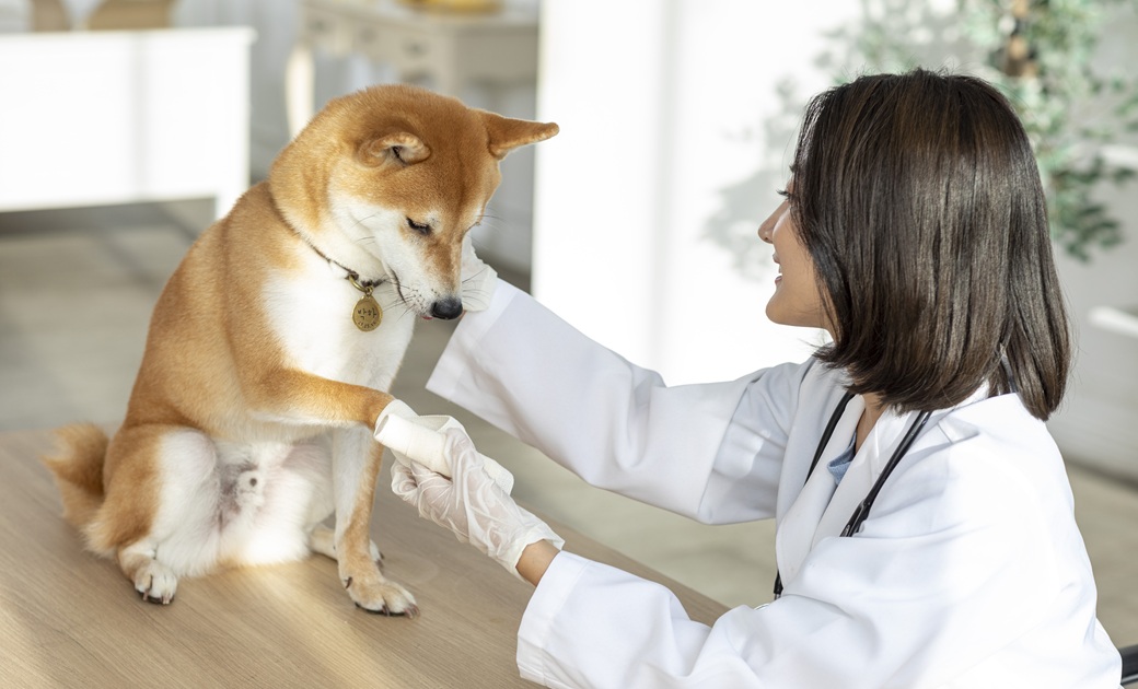 ���� �Ұ� �̹���